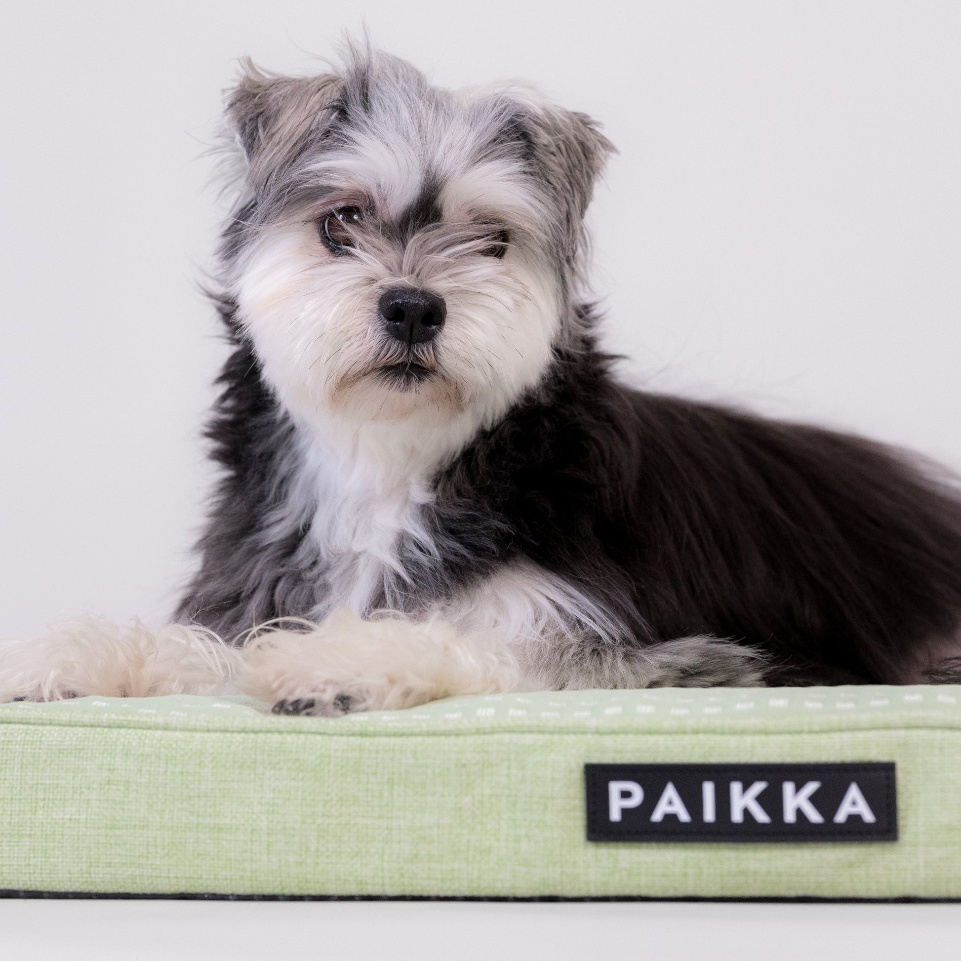 PAIKKA Ortopedinen viilentävä patja koiralle, vihreä Koiran peti