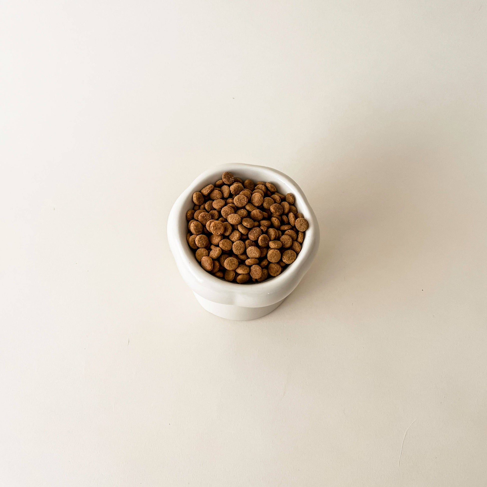 Kissan ruokakuppi korotettu