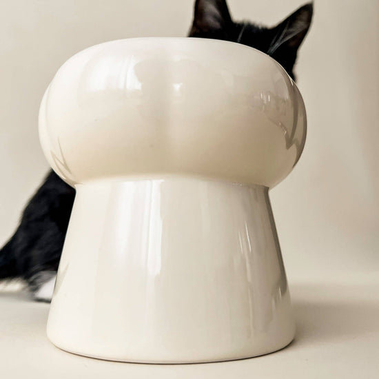 Kissan ruokakuppi korotettu