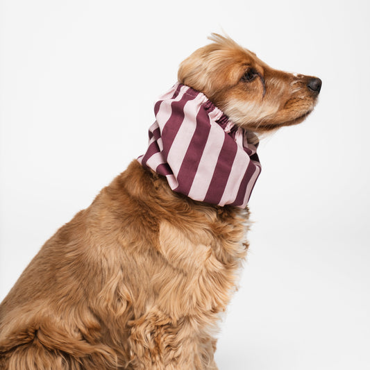 Lou and co koiran huppu burgundy stripes