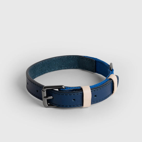 Masimalo Colour Block -kaulapanta koiralle, navy-grandala blue