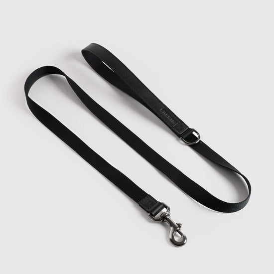 Masimalo koiran nahkainen talutin, musta