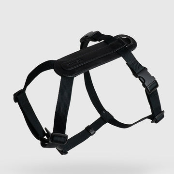 Masimalo koiran valjaat, musta