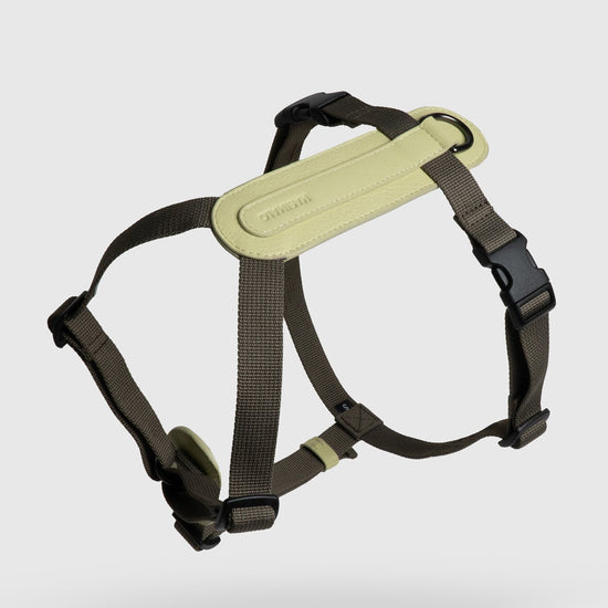 Masimalo koiran valjaat, light sage-khaki