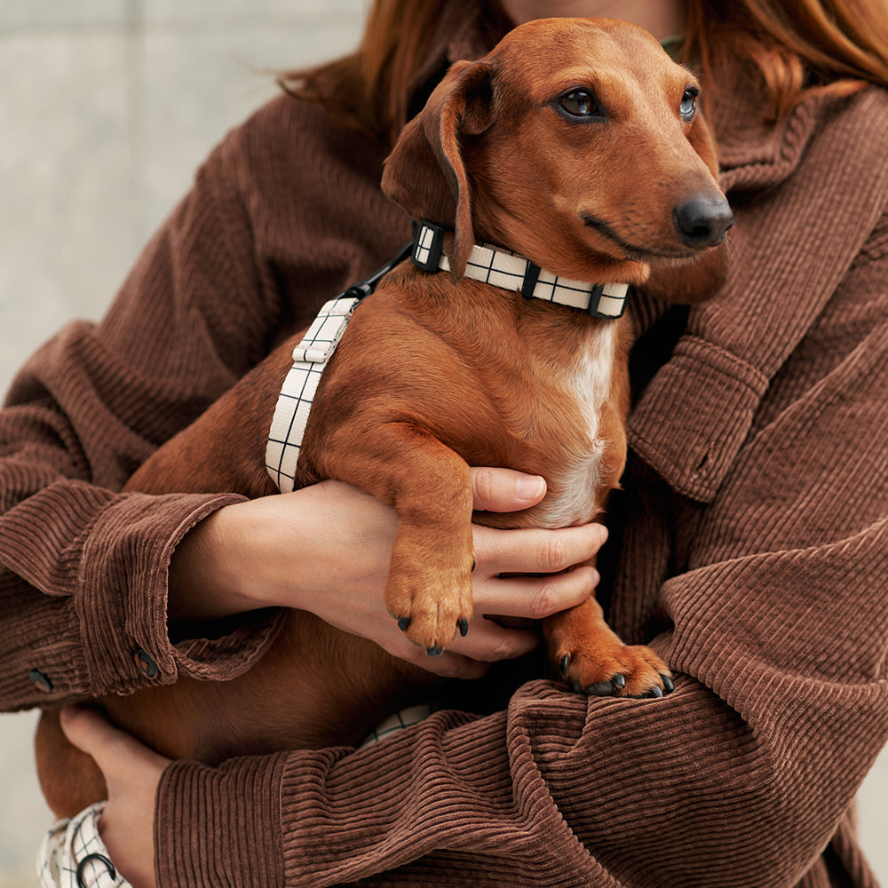 Juno -kierrätetty PET kaulapanta, Beige Line