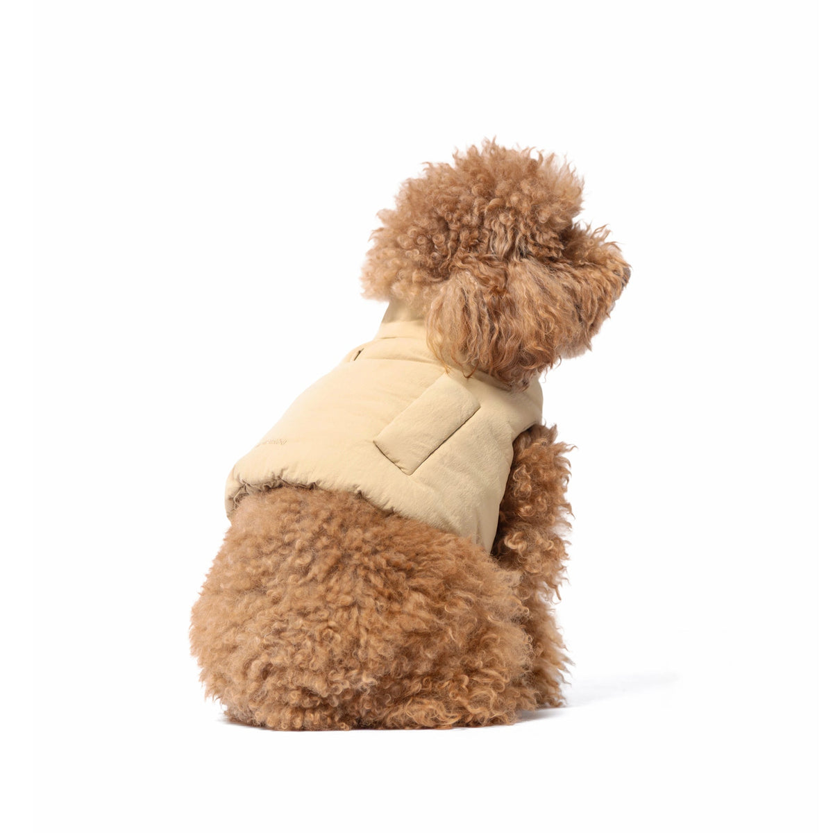 Pimpan Paris koiran luksus toppaliivi beige