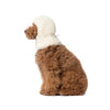 Pimpan koiran teddy balaclava