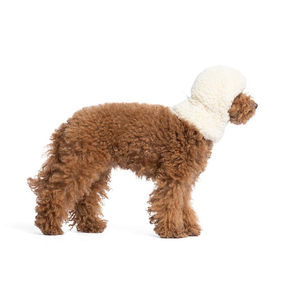 Pimpan koiran teddy balaclava valkoinen
