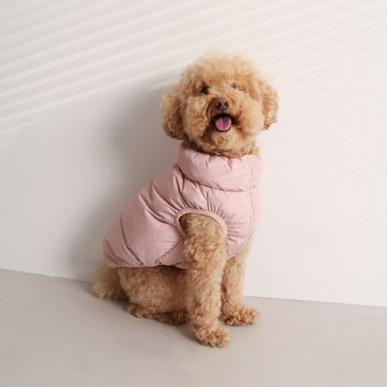 Pinkki toppaliivi koiralle