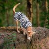 Rukka Pets cooling jacket koiralle
