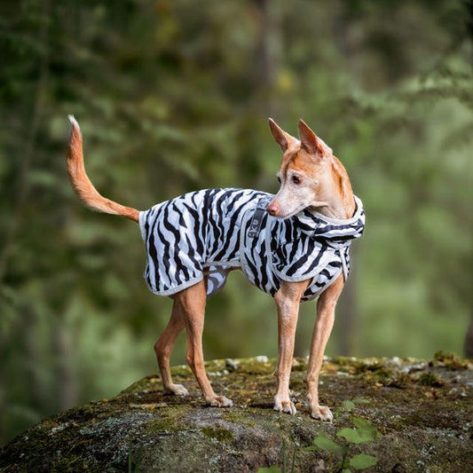Rukka Pets koiran viilennystakki zebra