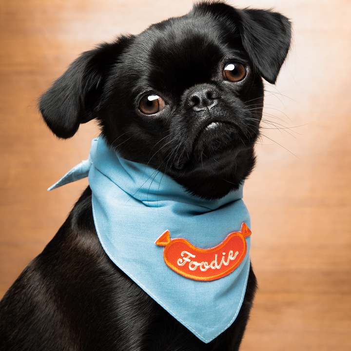 Scout's Honour Foodie ansiomerkki koiralle