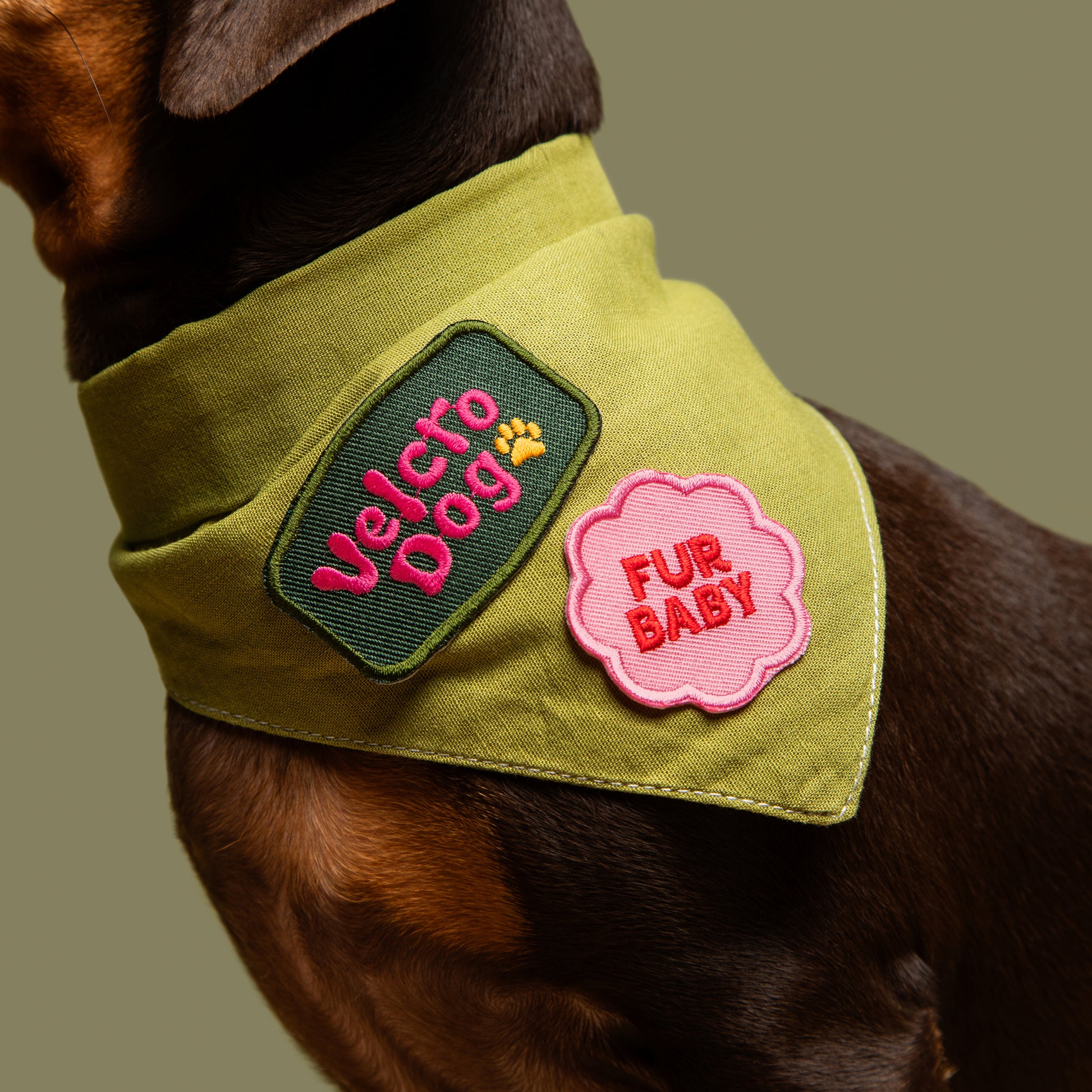 Scout's Honour Fur Baby -silitettävä kangasmerkki koiralle ja kissalle