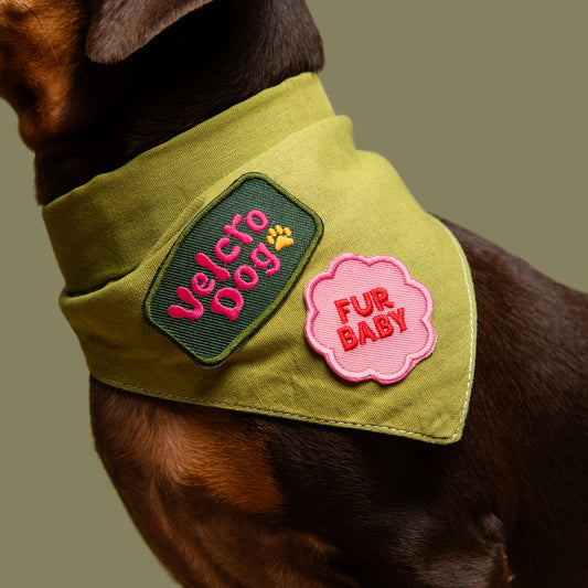 Scout's Honour Fur Baby -silitettävä kangasmerkki koiralle ja kissalle