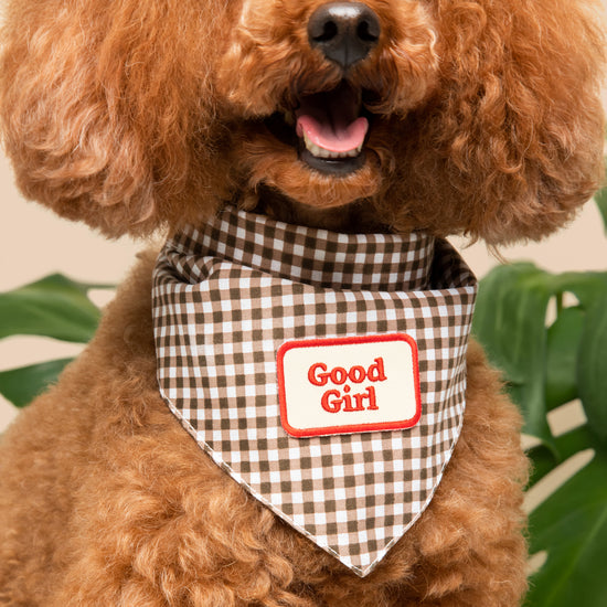 Good Girl -silitettävä kangasmerkki koiralle