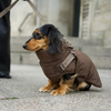 Vera dog winter coat with harness, chestnut
