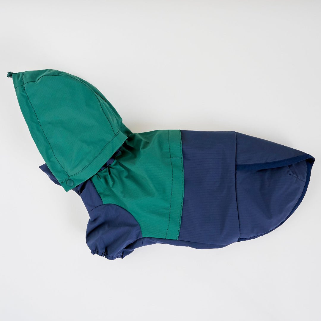 CushyCushy All - weather - koiran sadetakki, sinivihreä