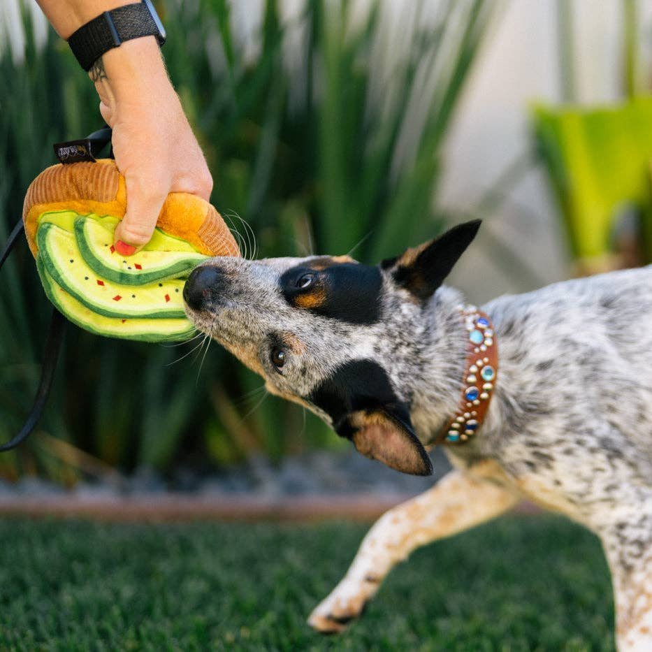 P.L.A.Y. Avo - doggo Toast - koiran lelu