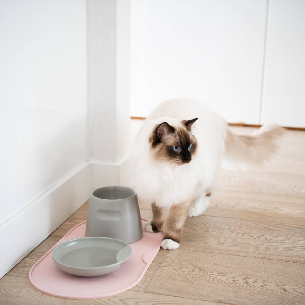 Hoopo Base - ruokailualusta, pinkki