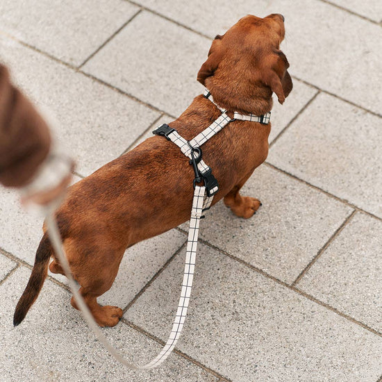 Juno -kierrätetty PET valjaat, Beige Line