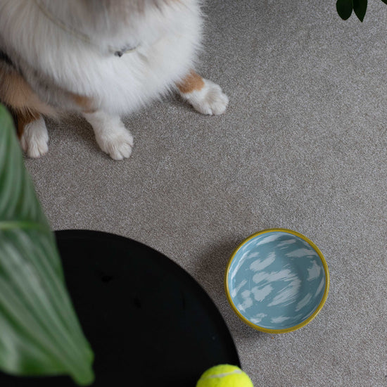 Masimalo Clouds - emalikulho lemmikille