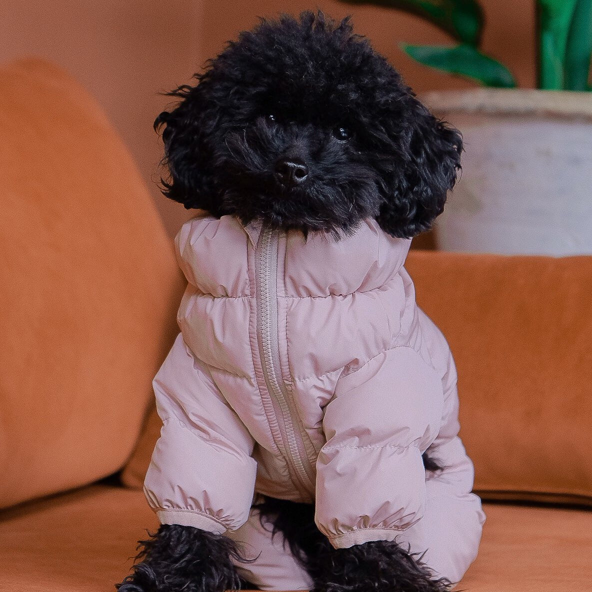 CushyCushy Cushy Puffer haalari, vaaleanpunainen