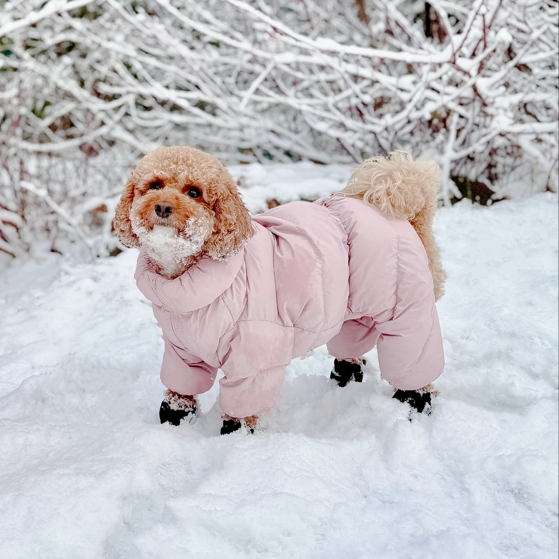 CushyCushy Cushy Puffer haalari, vaaleanpunainen