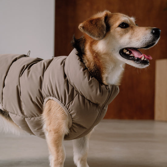 CushyCushy Cushy Puffer liivi, kahvi