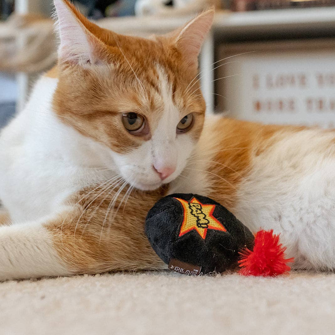 Kitty-Boom -kissanminttulelusetti