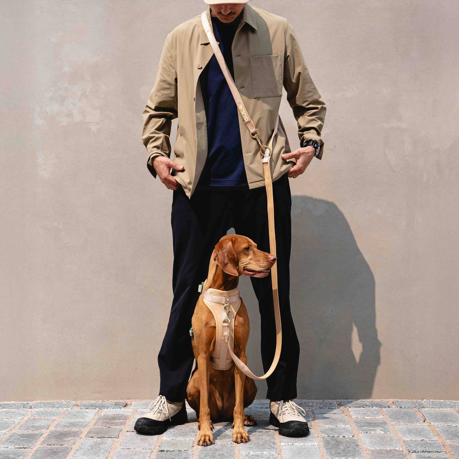 Beige & Vihreä GULA koiran valjaat