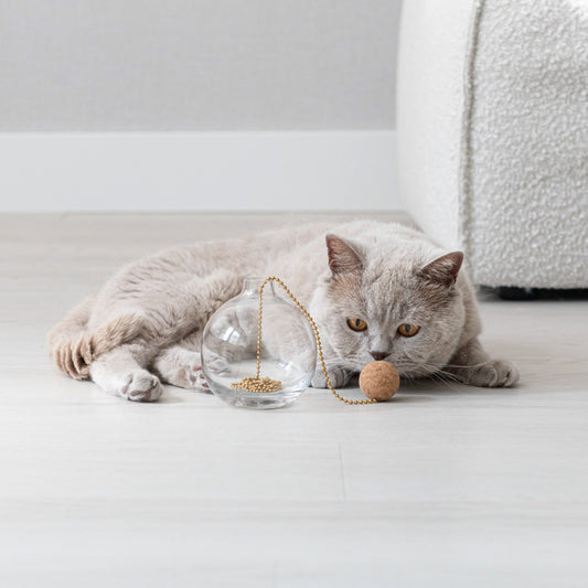 Tail Cat Toy