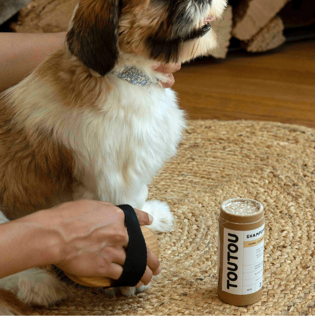 Lemmikin kuivashampoo