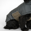 Nora dog winter coat, storm