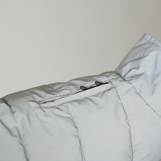 Staey Nora -koiran heijastava talvitakki