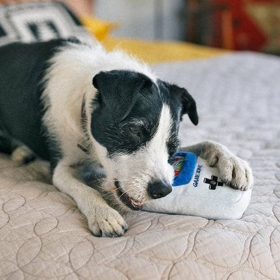 90s Classics Game Bone -koiran lelu