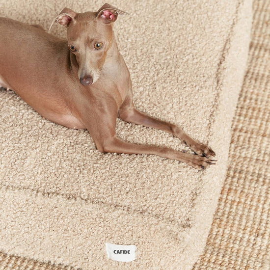 CAFIDE Cuadra-koiranpeti, beige