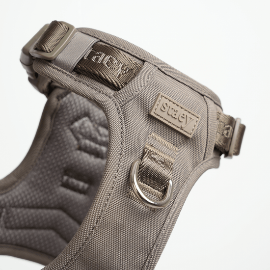 Staey Elma Active - valjaat, taupe