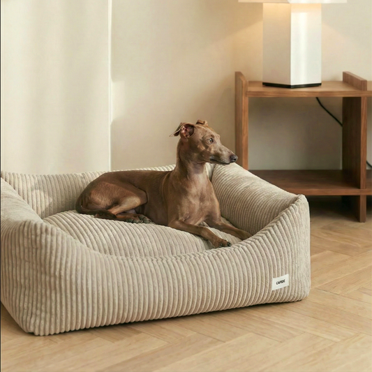Snozy-peti, beige vakosametti