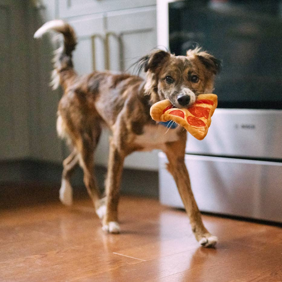 Puppy-roni Pizza -koiran lelu