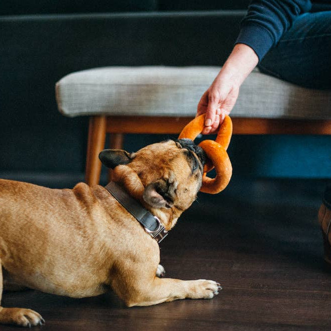 Poochie Pretzel -koiran lelu