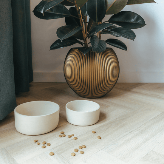 AVA bowls Fennec - keraaminen ruokakulho