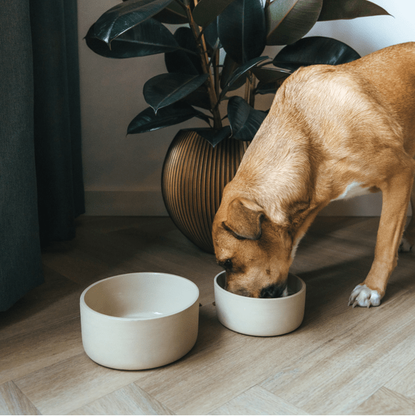 AVA bowls Fennec - keraaminen ruokakulho