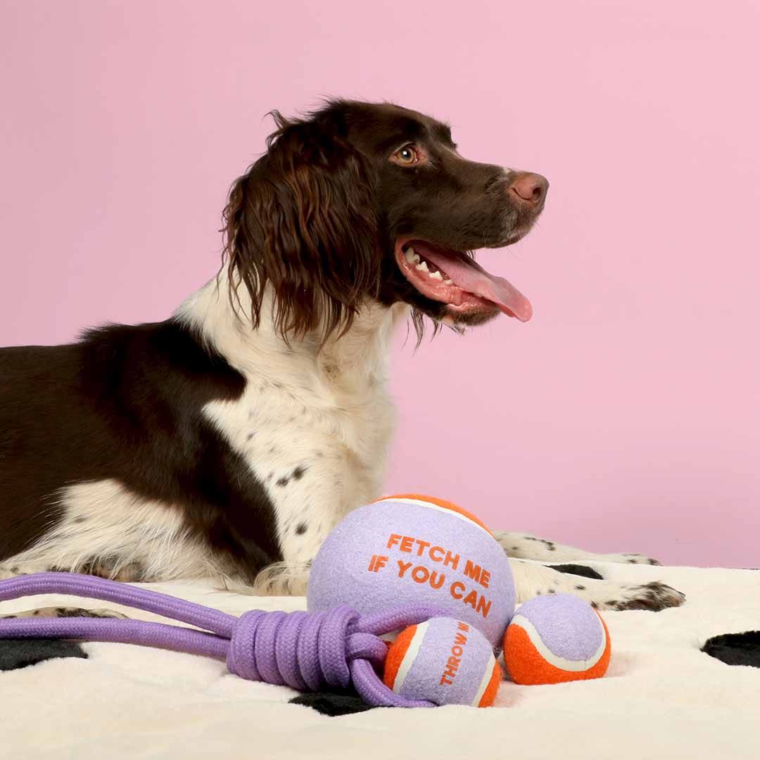 Coockoo Fetch Me - tennispallo XL