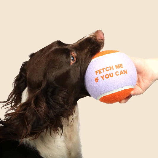 Coockoo Fetch Me - tennispallo XL