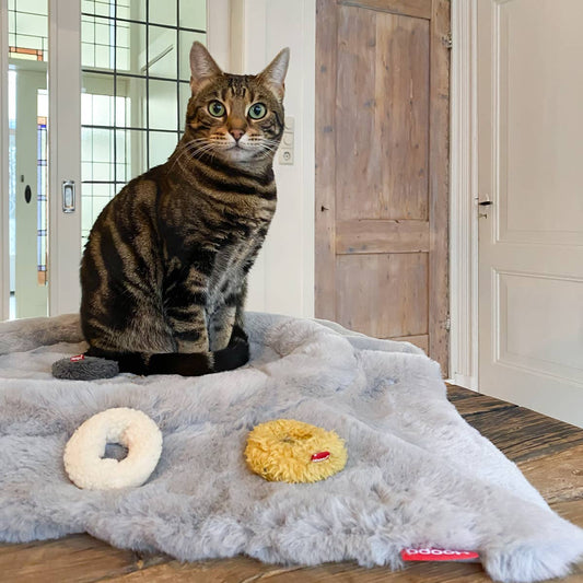 Hoopo Flip - kissanpeti, harmaa