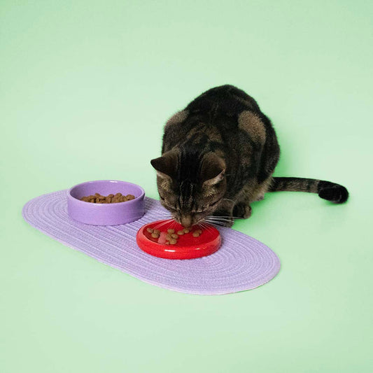 Coockoo Funky Feeding - ruoka - ja juomakuppi, punainen ja violetti