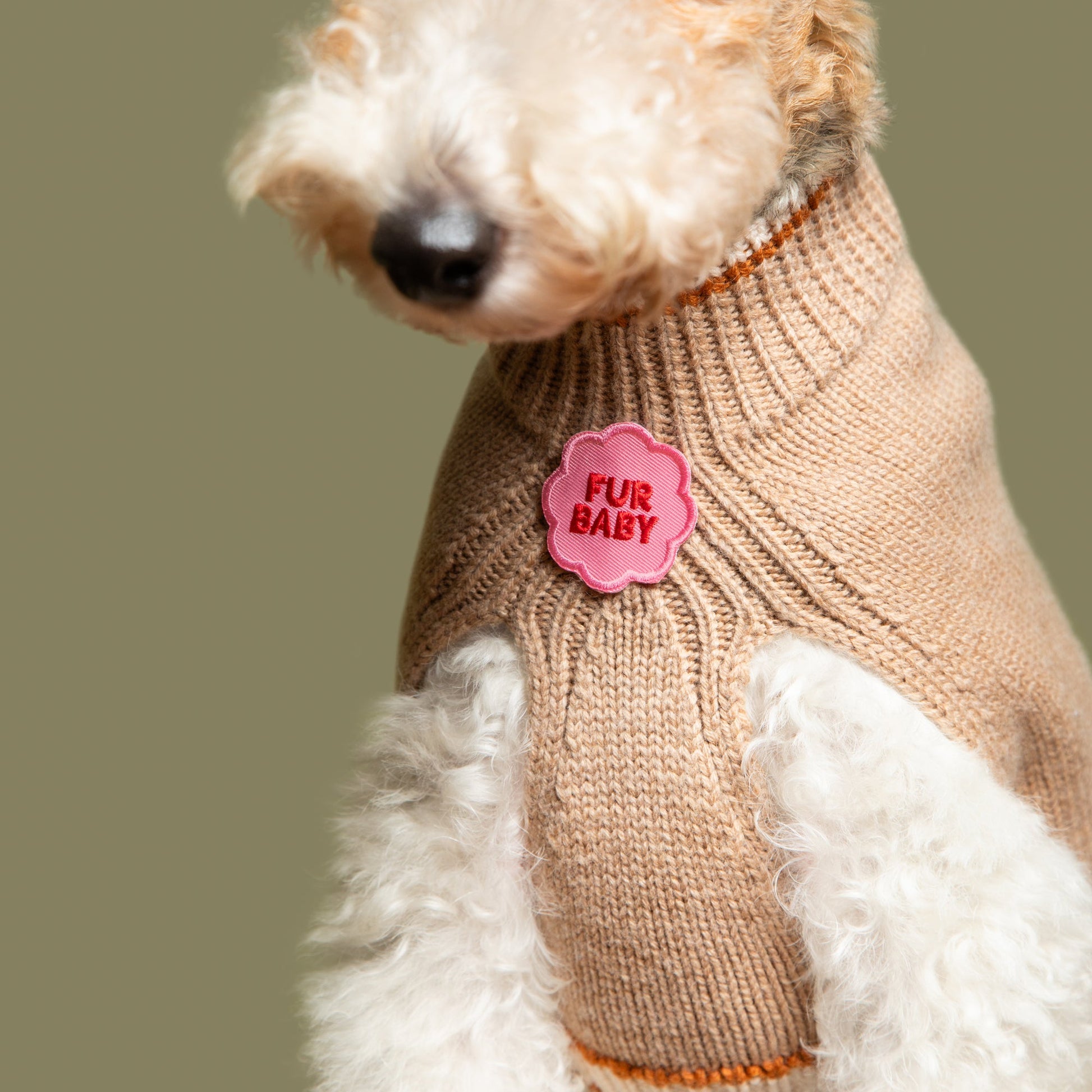Scout's Honour Fur Baby - silitettävä kangasmerkki lemmikille