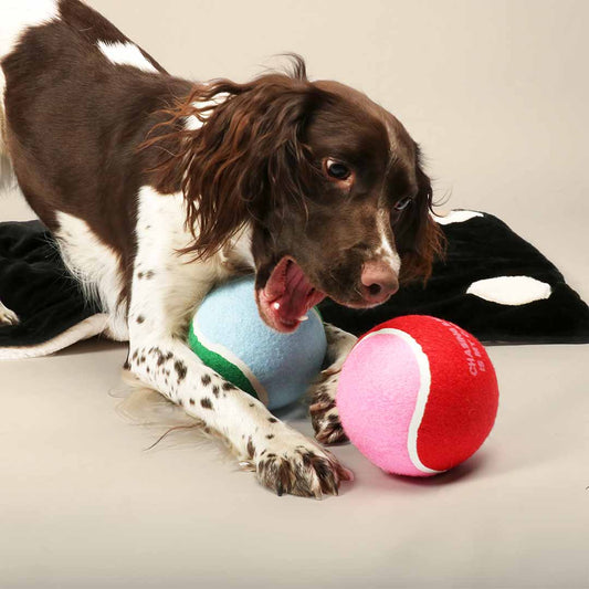 Coockoo Hands off my Balls - tennispallo XL