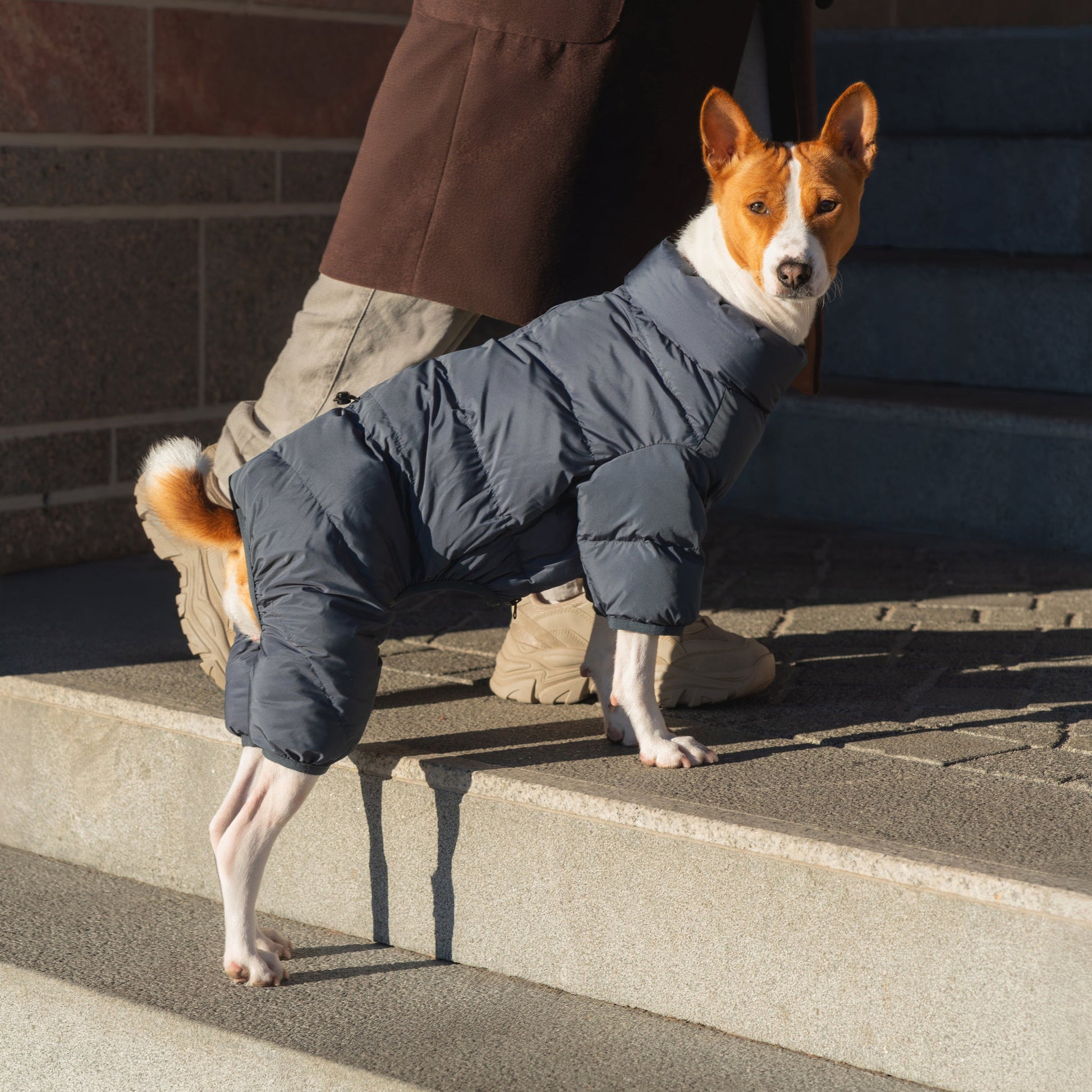 CushyCushy musta koiran puffer haalari