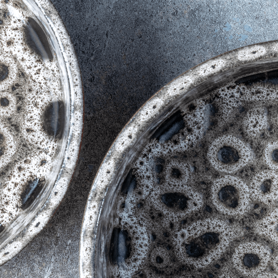 AVA bowls Jag - keraaminen ruokakulho